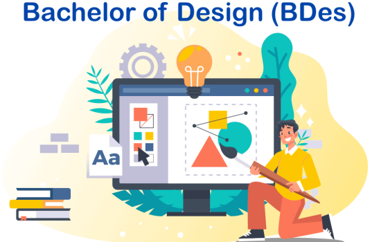Bachelor of Design course in India